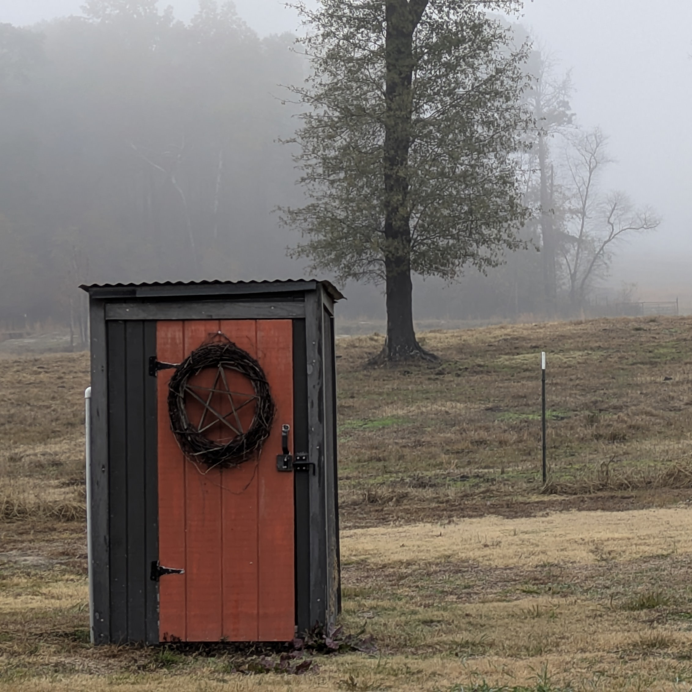 Foggy Shed